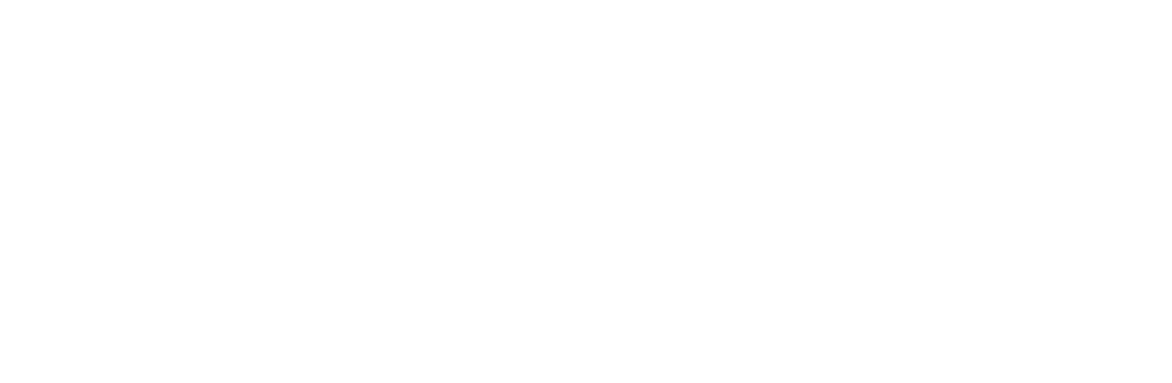 The Challenge Master